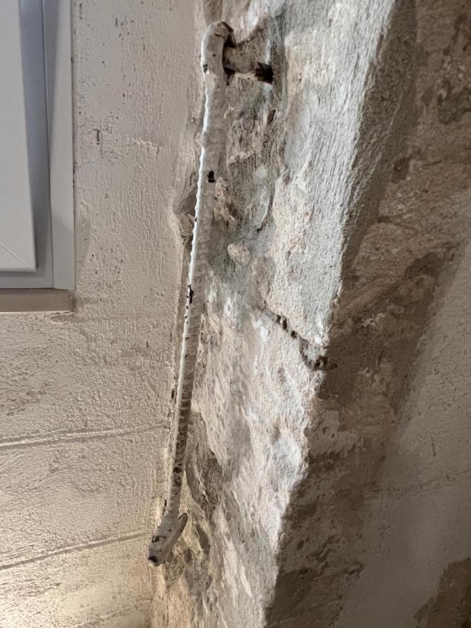 Maison Carolina فيستَ المظهر الخارجي الصورة